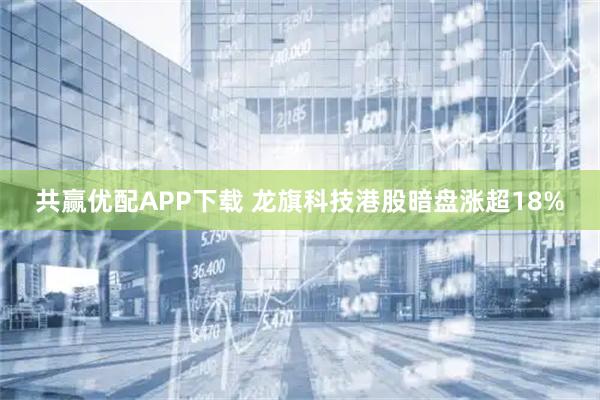 共赢优配APP下载 龙旗科技港股暗盘涨超18%