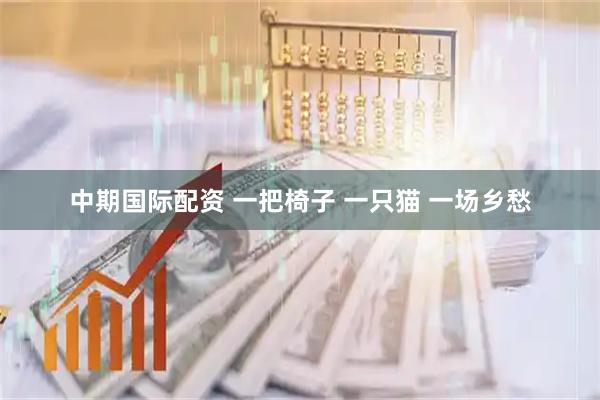 中期国际配资 一把椅子 一只猫 一场乡愁